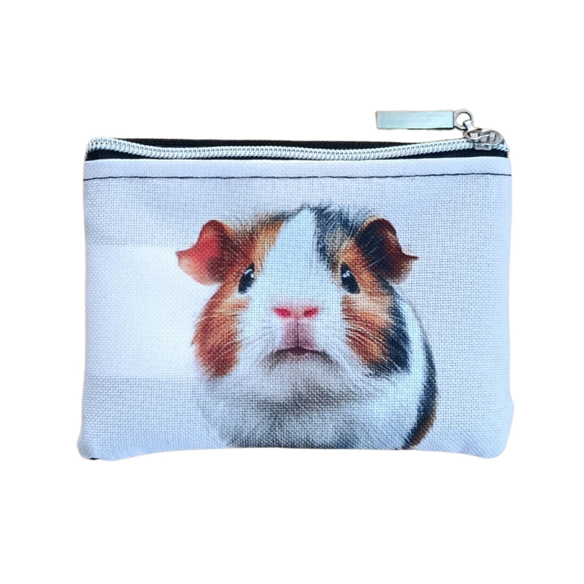 Morče na kapsičce na drobné peníze